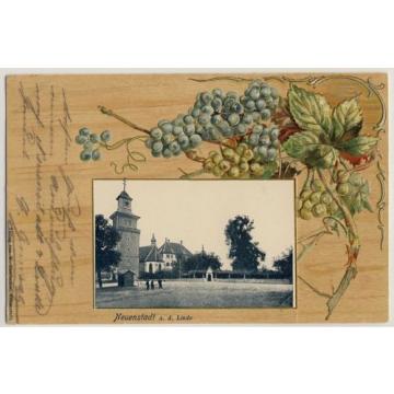 NEUENSTADT a d Linde / OA Neckarsulm / Wein Weinbau Winzer * Präge-AK um 1900