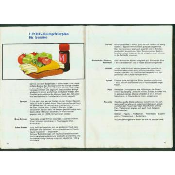 Altes Werbeheft Die kleine Linde-Gefrier-Fibel  1960er Zeichnungen Tips Küche