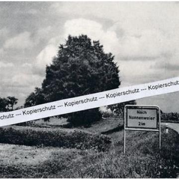 Wittenweier bei Lahr - Linde - um 1960             M 19-9
