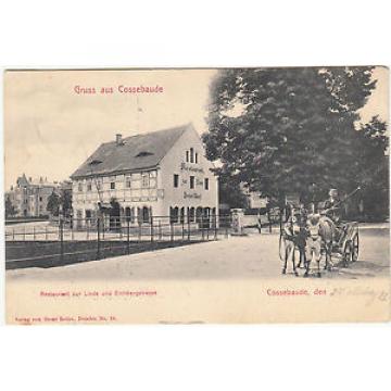 AK DRESDEN Cossebaude 1912 Restaurant zur Linde mit Eselsfuhrwerk   ( 44