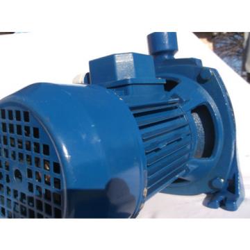 Electric Centrifugal Water CP Pump CPm158 1Hp 240V