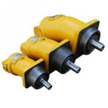 A2F10W5S5 A2F Series Fixed Displacement Piston Pump