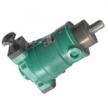 250SCY14-1B  axial plunger pump