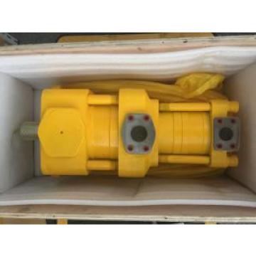 Sumitomo QT5223-50-5F Double Gear Pump