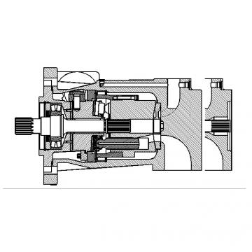 Dansion P080 series pump P080-02L1C-K1J-00