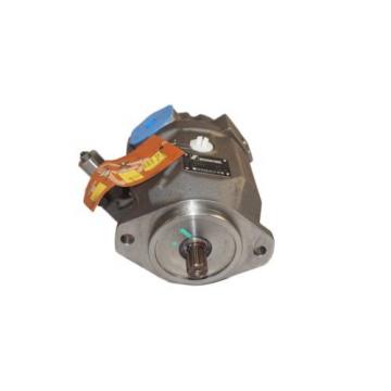 New Schwing Hydraulic Pump 30364139 10202812 r9024361062 Rexroth Bosch