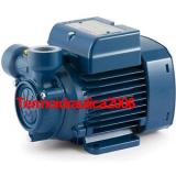 Electric Peripheral Water PQ Pump PQm80 1Hp Brass impeller 240V Pedrollo Z1