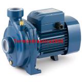 Centrifugal Electric Water Pump open impeller NGAm 1A 1Hp 240V Pedrollo Z1