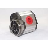 Hydraulic Gear Pump 1PN082CG1S13C3CNXS 8.2 cm³/rev  250 Bar Pressure Rating