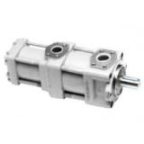 QT4123-50-6.3F China QT Series Double Gear Pump